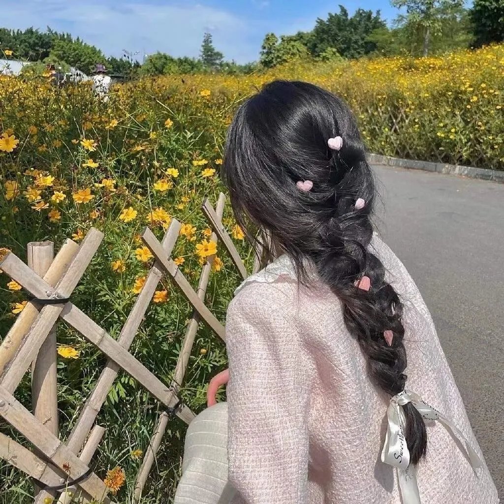 王朝的陷落